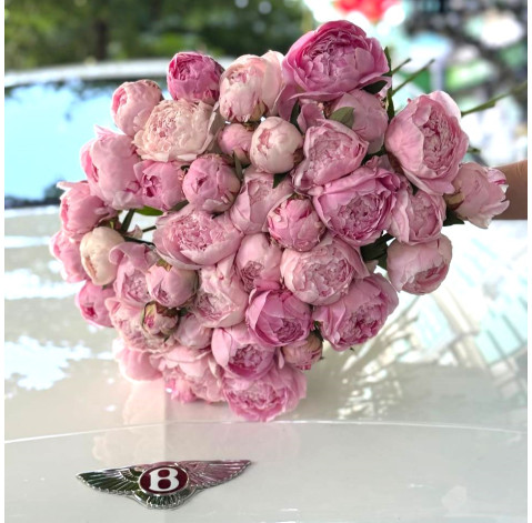 Bouquet of 45 peonies Sarah Bernhardt 1 Flower delivery
