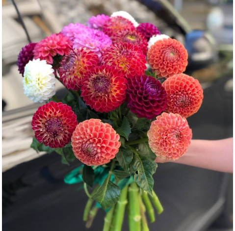 Букет 21 жоржина 3 доставка квітів