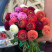 Букет 21 жоржина 1 доставка квітів ракурс