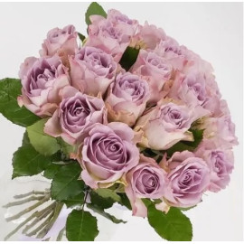 Rose Memmory Lane  Flower delivery