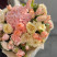 Букет Весняний мус 5 доставка квітів ракурс