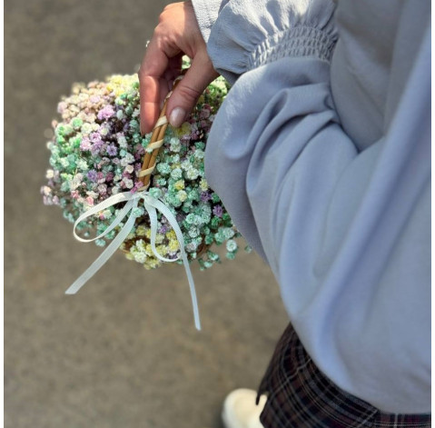 Basket with rainbow gypsophila 2 Flower delivery