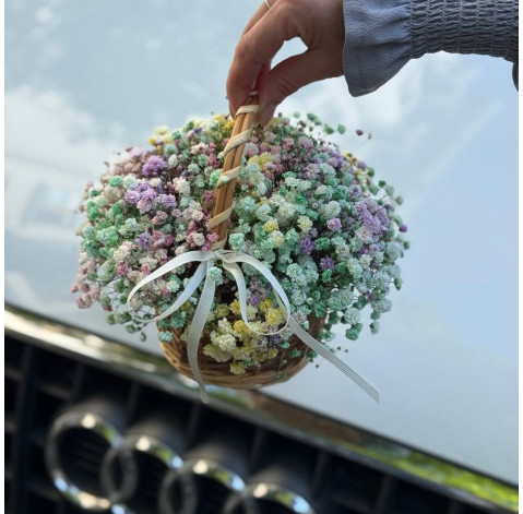 Basket with rainbow gypsophila 4 Flower delivery