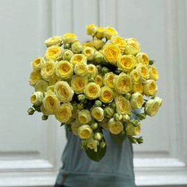 Spray rose Lemon Trendsetter Flower delivery