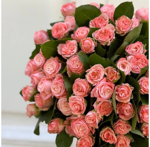 Rose Madam Bombastic 30-40 cm (one bud) 3 Flower delivery