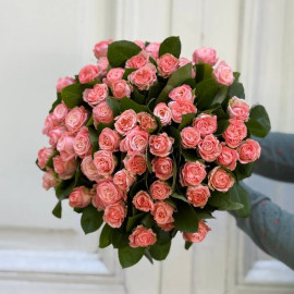 Rose Madam Bombastic 30-40 cm (one bud) Flower delivery