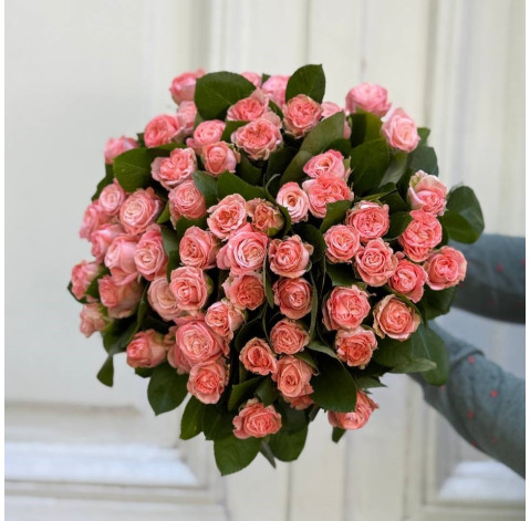Rose Madam Bombastic 30-40 cm (one bud) 2 Flower delivery