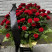 Funeral basket of 70 roses 1 Flower delivery foreshortening