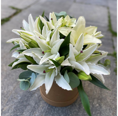 Квіткова композиція Ніжна лілія 3 доставка квітів