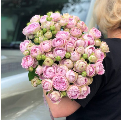 Роза Блоссом Баблс 30-40 см 3 доставка цветов