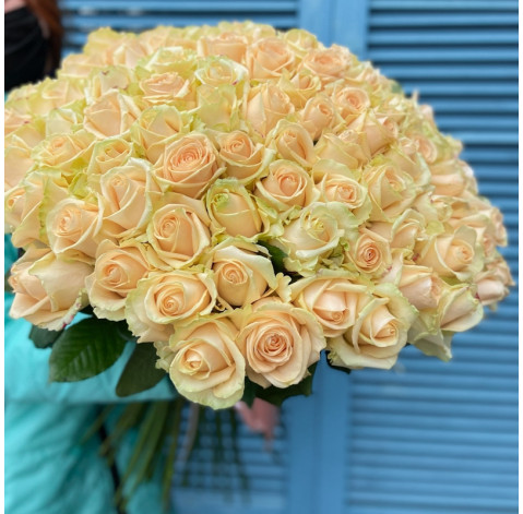 Rose Avalanche Peach 2 Flower delivery