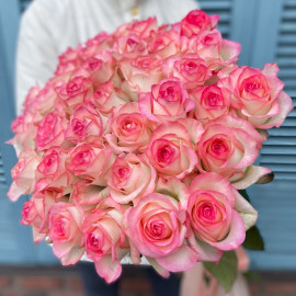 Jumilia Rose Flower delivery Jumilia Rose Flower delivery