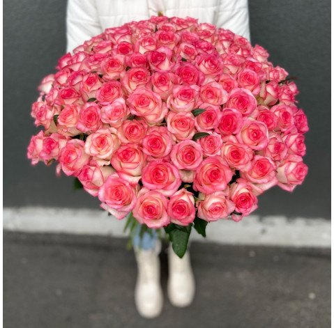 Троянда Джумілія 3 доставка квітів