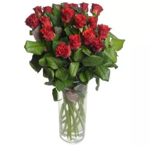 Троянда Ель Торо 30-40 см 3 доставка квітів