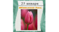 Татьянин день: гуляй студент, празднуй Таня, солнышко свети!