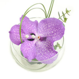 Просто так доставка цветов Просто так доставка цветов