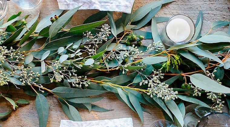 Стиль и изящество эвкалипта