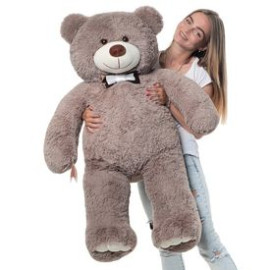 Mr Bear 130 cm Cappuccino Flower delivery