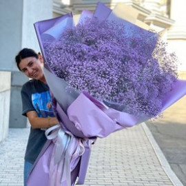 Bouquet 25 gypsophila Flower delivery Bouquet 25 gypsophila Flower delivery