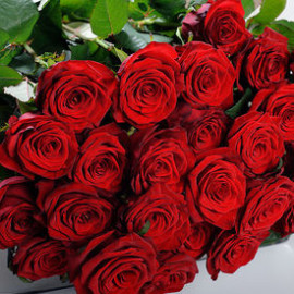 Rose Red Naomi 80 cm Flower delivery