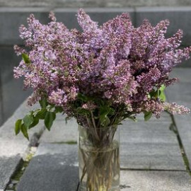 Бузок доставка квітів