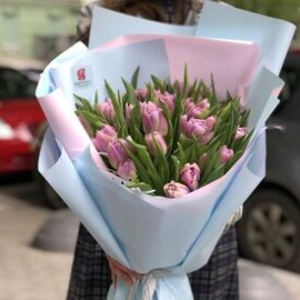 Bouquet 31 tulip Flower delivery