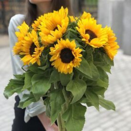 Букет 11 подсолнухов доставка цветов