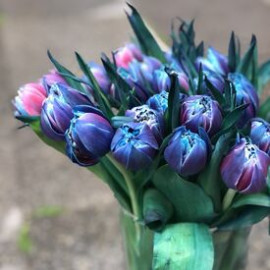 Космический тюльпан доставка цветов