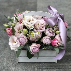 Flower arrangement Violets Flower delivery Flower arrangement Violets Flower delivery