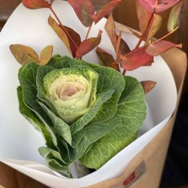 Bouquet Brassica Flower delivery