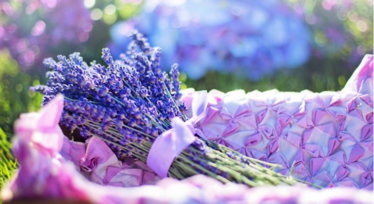 A little about lavender and its symbolism