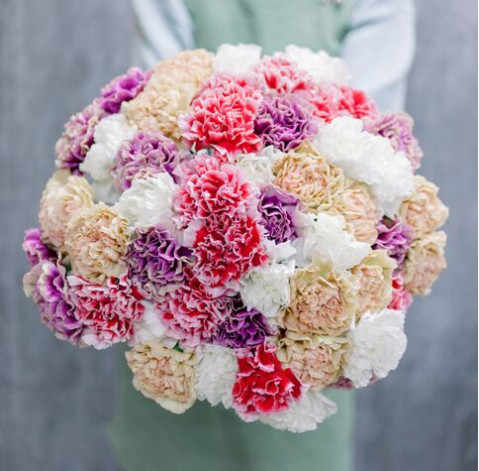 Гвоздика 8 доставка цветов