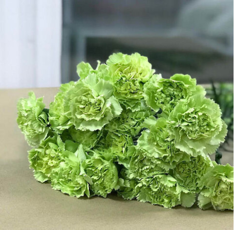 Гвоздика 6 доставка цветов