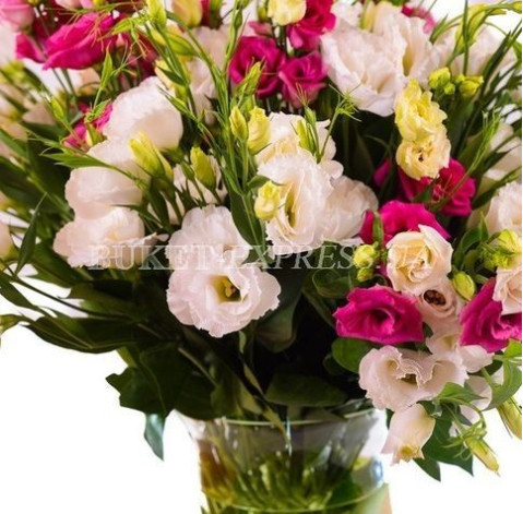 Eustoma 4 Flower delivery