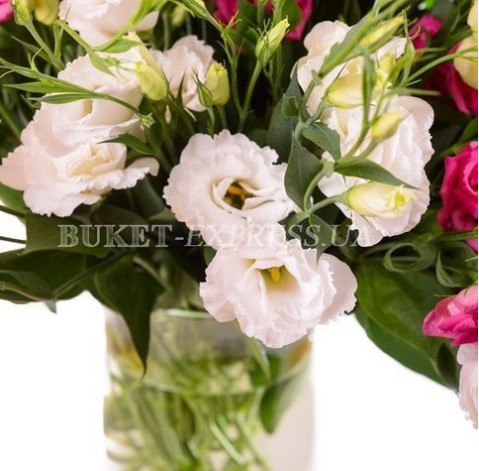 Eustoma 6 Flower delivery
