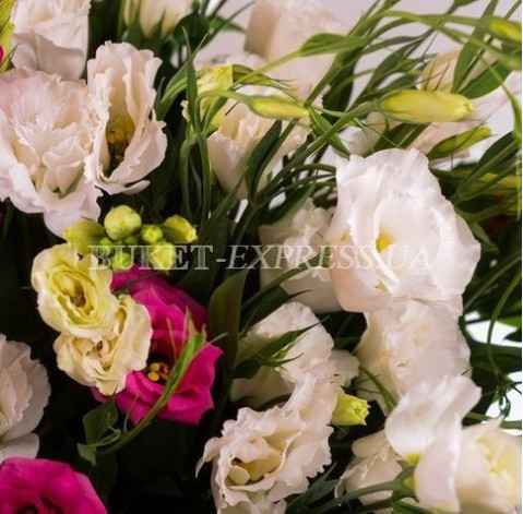 Eustoma 5 Flower delivery