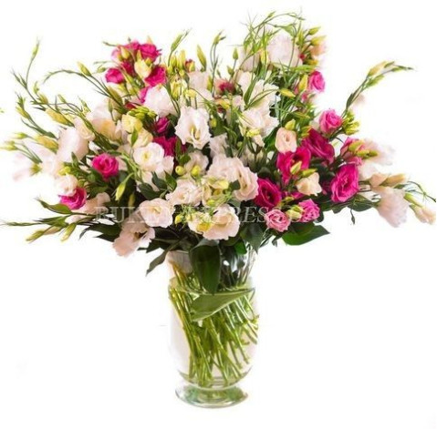 Eustoma 2 Flower delivery