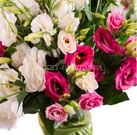 Eustoma 3 Flower delivery