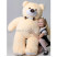 Mr Bear Beige, 160 cm 2 Flower delivery foreshortening