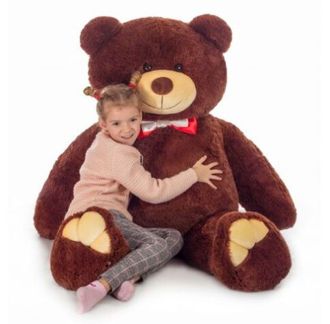 Містер Ведмідь Бурий, 160 см 2 доставка квітів