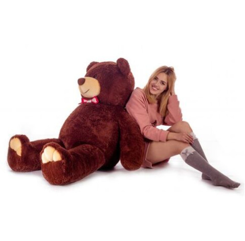 Містер Ведмідь Бурий, 160 см 3 доставка квітів