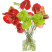 Anthurium 1 Flower delivery foreshortening