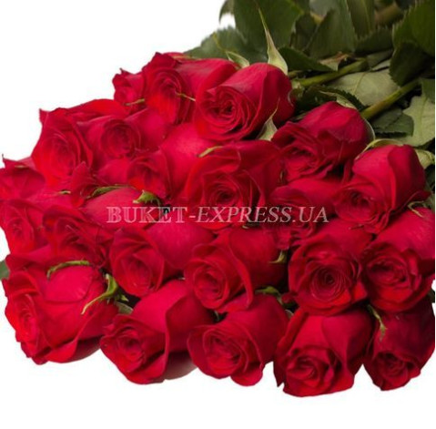 Троянда Фрідом 80-90 см доставка квітів