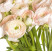 Ranunculus Hanoi 1 Flower delivery foreshortening