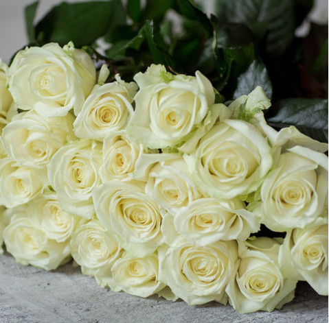 Троянда Аваланч 2 доставка квітів