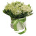 Lily of the valley 1 Flower delivery foreshortening