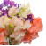Sweet peas 2 Flower delivery foreshortening