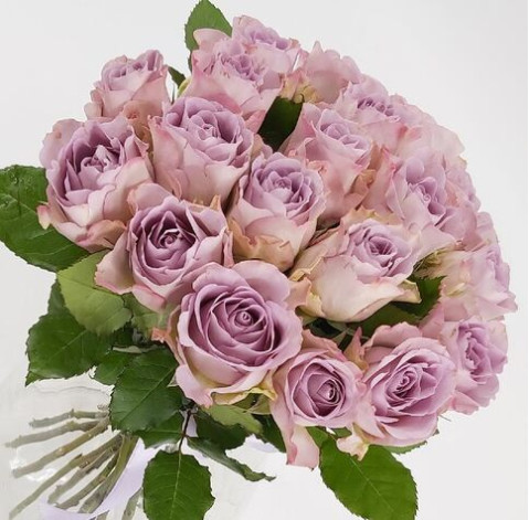 Троянда Меморі Лейн 1 доставка квітів