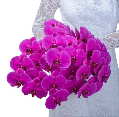 Delightful orchid 2 Flower delivery