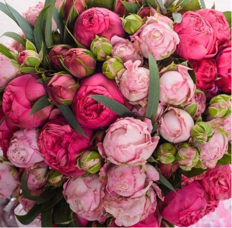 Chocolate mood 2 Flower delivery